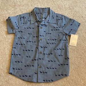 Botton down short sleeve